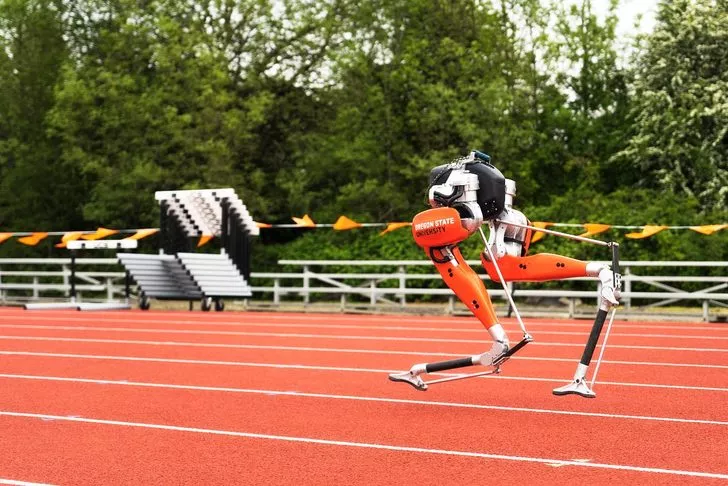 Cassie adlı robot 100 metrede Guinness Dünya Rekoru kırdı