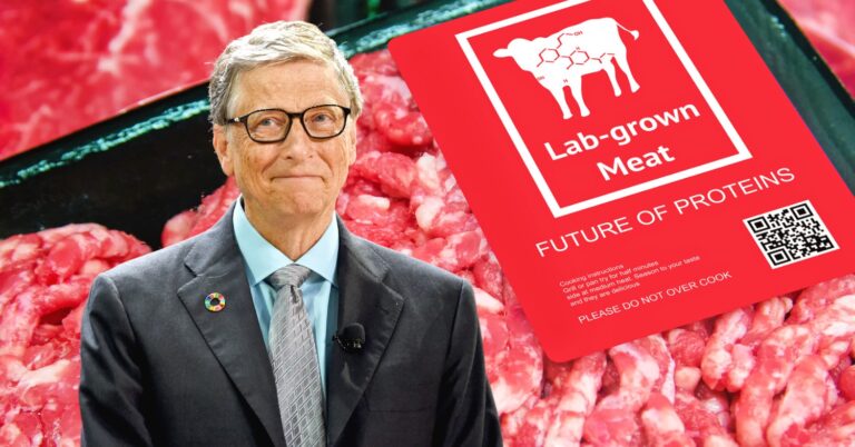 Bill Gates: Yapay et, er geç tüketiciler için çok iyi bir seçenek olacak
