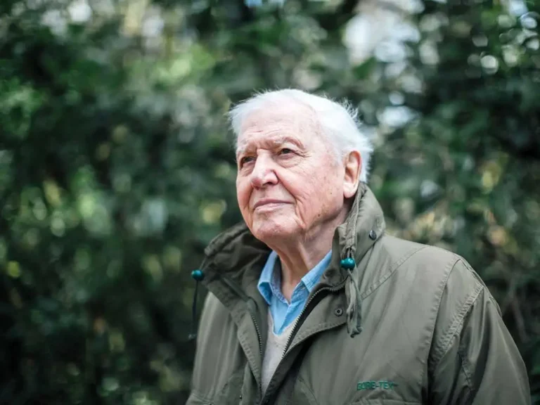 David Attenborough’nun kuş gribine yakalanıp ölmesinden endişe edildi