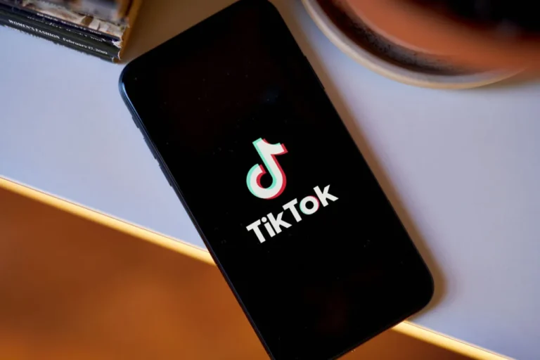 Milletvekillerinin güvenlik nedeniyle TikTok kullanması yasaklanacak