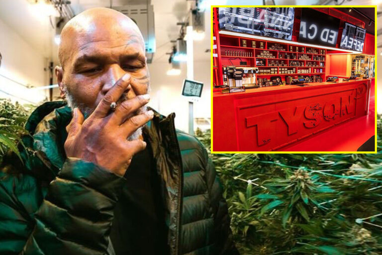 Mike Tyson Amsterdam’da esrar kafesi açtı