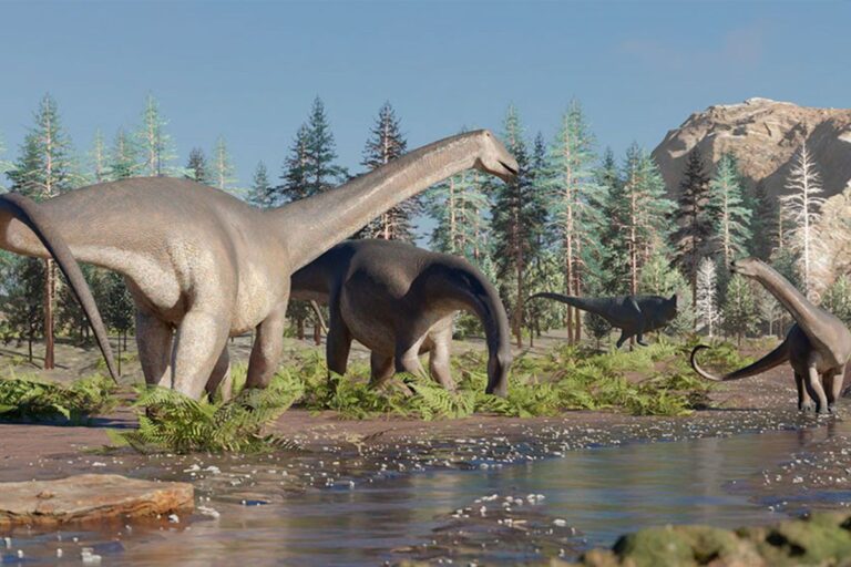 Yeni bir otçul dinozor türü keşfedildi
